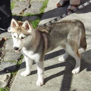 Meet your Posher, Madye